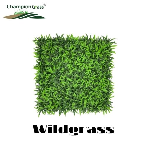 Wildgrass