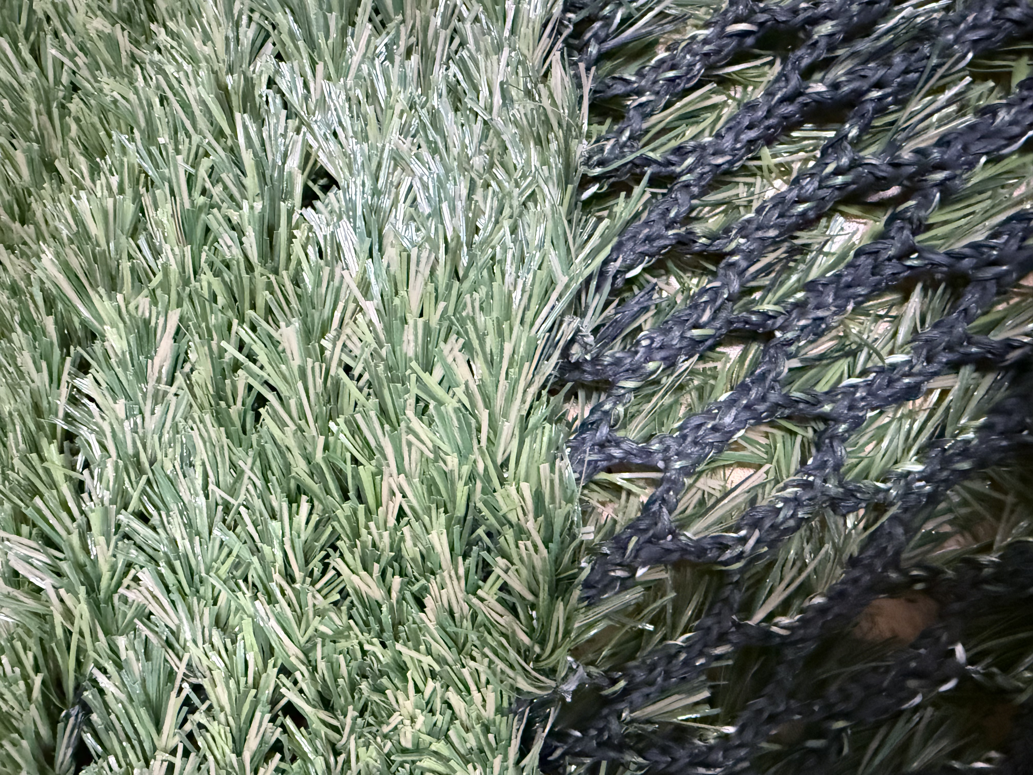 What Is Hybrid Grass? The Perfect Blend of Nature and Technology