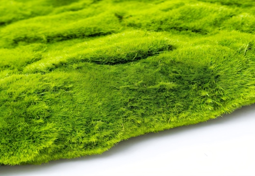 Premium Artificial Moss Mat for Natural Decoration &ndash; Indoor & Outdoor Use