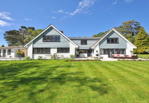 Professional Explanation of Artificial Turf Backing Types