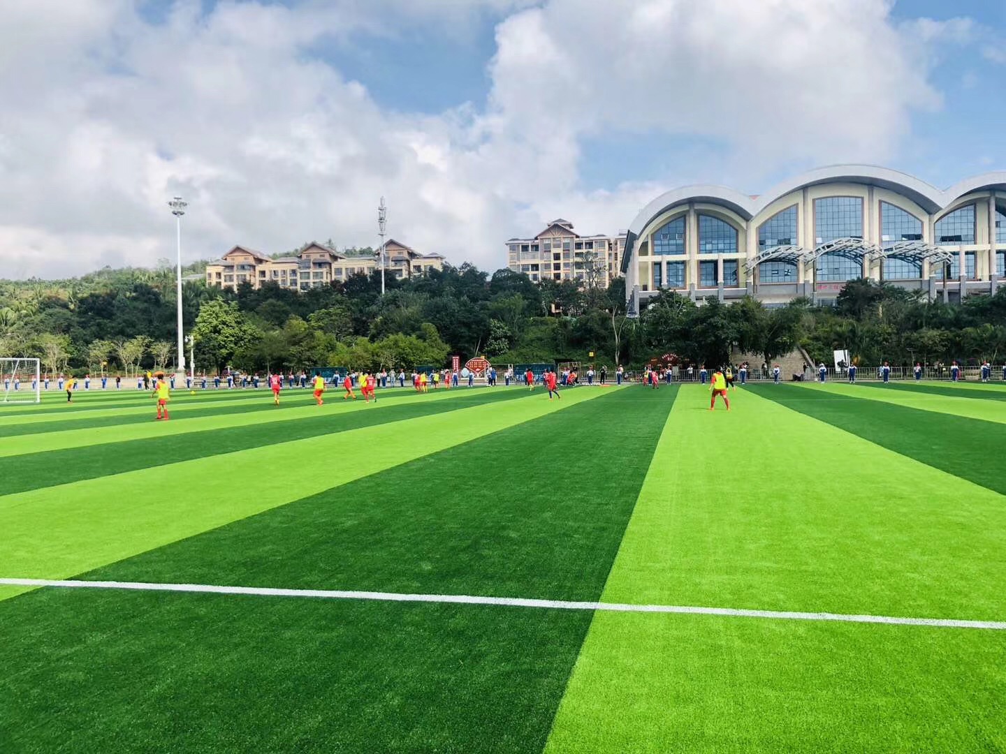 Artificial grass sports field project